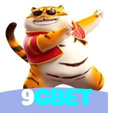 9GBET:O melhor cassino para apostar no futebol e ganhar em jogos de roleta!